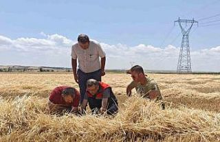 Uşak’ta tarım ekiplerinden biçerdöverlere sıkı...