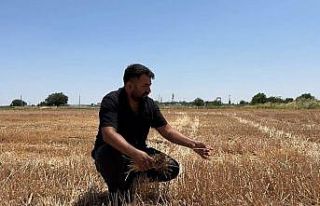 Uzmanlar ve çiftçiler anız yakmanın zararlarına...