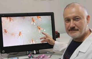 Uzmanlardan ’Yakarca’ uyarısı