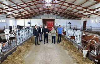 Vali Aydoğdu Düve Üretim Merkezi’nde incelemelerde...