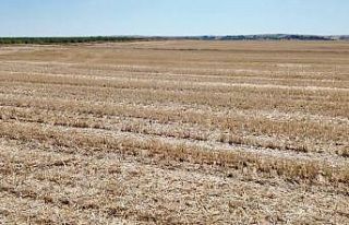 Vali Sezer’den yangın uyarısı: "Bir kıvılcım,...