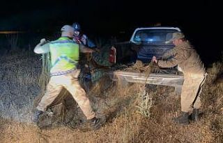 Van’da 1,5 ton inci kefali ele geçirildi