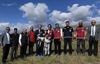 Van’da 3 yılda 2 bin 375 çiftçiye 235 bin koyun...