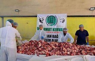 Van’da geleneksel toplu kurban kesimi