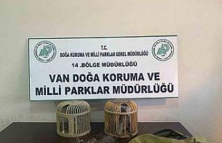Van’da kaçak keklik avlayan bir kişiye 49 bin...