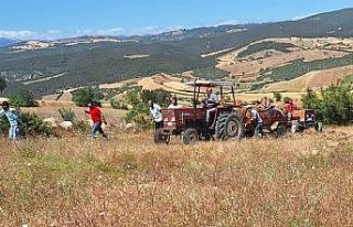 Vezirköprü’de buğday tarlasında yangın: 30...