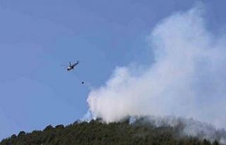Yakılan anız, orman yangınına neden oldu: Müdahale...