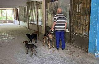 Yaklaşık 2 haftadır depoda mahsur kalan 6 köpek...