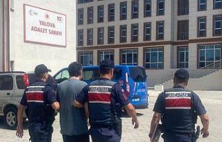 Yalova’da DEAŞ üyesi Rus uyruklu şahıs yakalandı