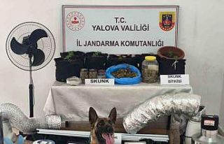 Yalova’da evini uyuşturucu serasına çeviren zanlı...