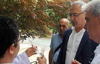 Yalova’da kahverengi kokarcaya karşı samuray arılar...