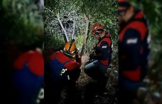 Yalova’da kayıp vatandaş ormanda ölü bulundu