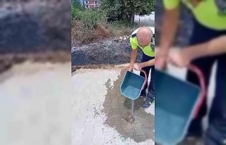 Yanan otların arasından kurtardığı kaplumbağayı...