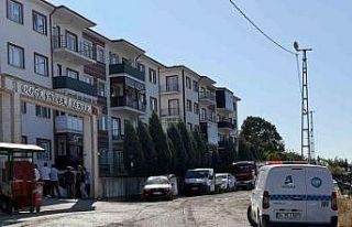 Yangın bölgesindeki bir site tedbir amaçlı tahliye...