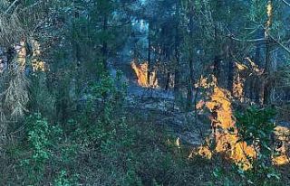 Yangın riskine karşı kritik uyarı: Yasal işlem...