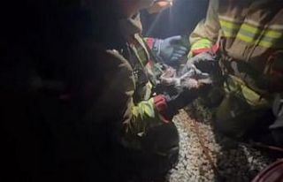 Yangında mahsur kalan kediye yürek ısıtan şefkat