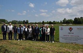 Yapay mera ile 4-5 kat fazla yem verimi sağlanacak