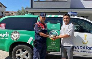 Yaralı halde bulunan baykuş, jandarma ekiplerince...