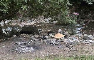 Yasağı delip ormanda mangal yaktılar, jandarmadan...