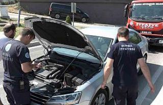 Yavru kedi, trafiği kilitledi