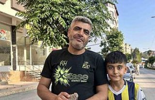 Yavru kumruyu kurtarmak için seferber oldu