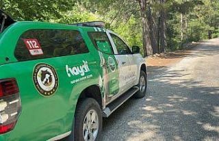 Yayla yolunda kaybolan yaşlı adam 300 kişilik ekiple...