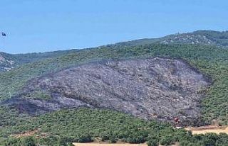 Yenişehir ilçesindeki yangın söndürüldü