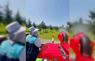 Yeşil alanlarda ilaçlama çalışması sürüyor