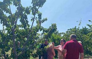 Yeşilçam Yıldızı Savaş’tan nostaljik ziyaret:...