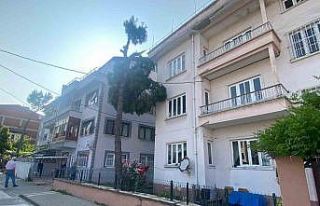 Yıkılma tehlikesi olan ağaç itfaiye ekipleri tarafından...