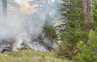 Yıldırım düşmesi sonucu çıkan orman yangını...