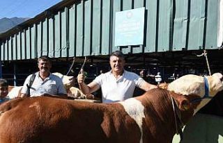 Yıldırım Kurban Bayramına hazır