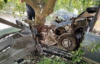 Yoldan çıkan otomobil ağaca çarptı: 1 yaralı