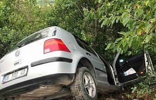 Yoldan savrulan otomobil ağaça çarparak durabildi