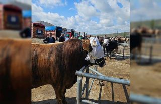 Yozgat genelindeki hayvan pazarları tedbir amaçlı...