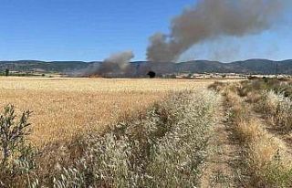 Yozgat’ta 20 dönüm ekili alan kül oldu