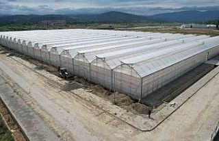 Yüksek teknolojiyle topraksız tarım, sıfır atık...