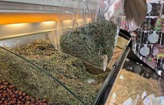 Zayıflamak için canınızdan olmayın