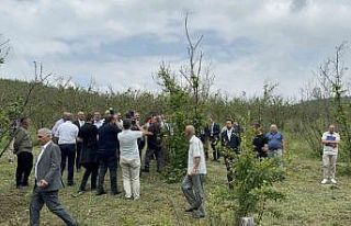 Zirai donun etkisi sahada inceleniyor