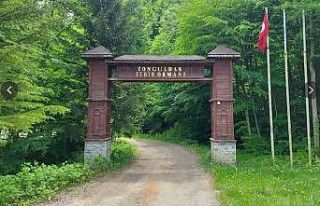 Zonguldak ormanlarda ateş yakılması yasaklandı