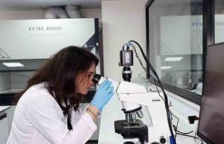 100. yıl gıda analiz laboratuvarında pestisit kalıntı...