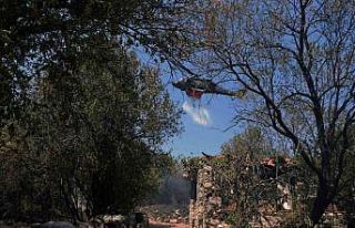 2 bin 500 yıllık antik kentin ciğerleri yandı