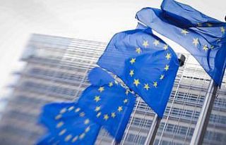 AB Komisyonu, Türk vatandaşlarına çok girişli...