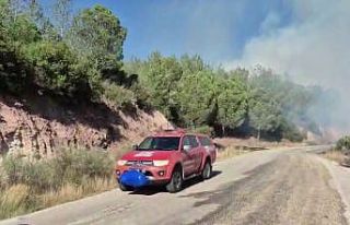 Adana’da orman yangını