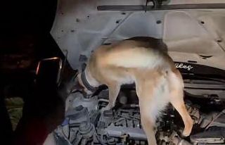 Adıyaman’da 38 günde 201 şüpheliye uyuşturucudan...