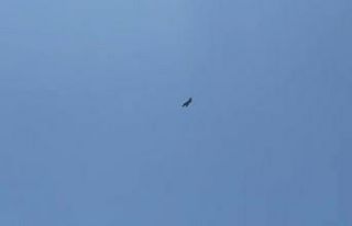 Adıyaman’da F16 savaş uçağı nefes kesti