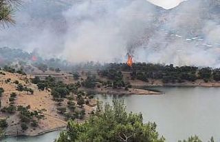 Adıyaman’da ormanlık alanda yangın