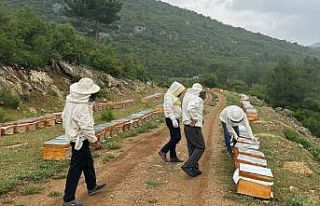 Adıyamanlı arıcılar, 2025 yılı bal fiyatlarını...
