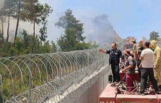 AFAD: "(Hatay Yayladağı) Yangınlara; 734 personel,...