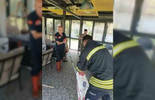 Afyonkarahisar’da yılan paniği